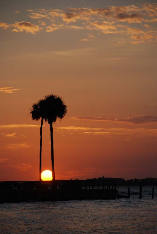 2007 Edisto (278 of 287).jpg