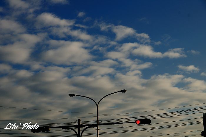 DSC_0058.jpg