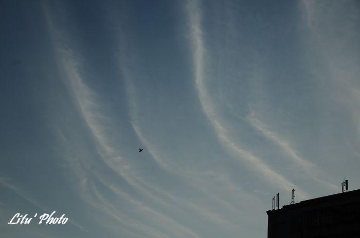 DSC_0054.jpg