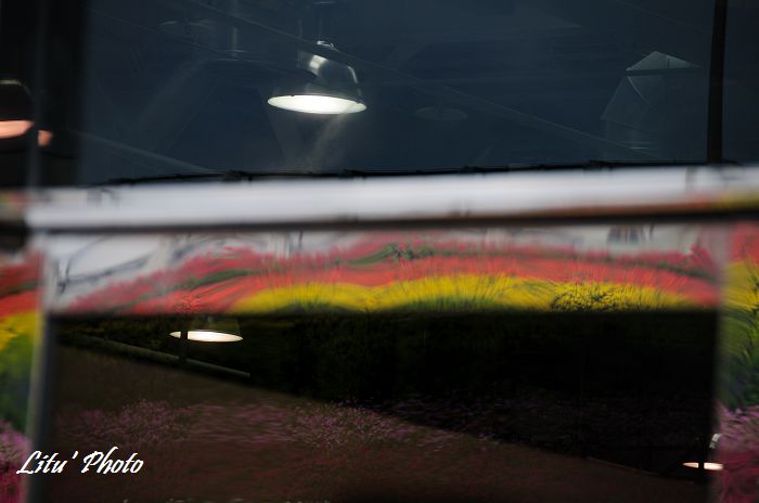 DSC_4909.jpg