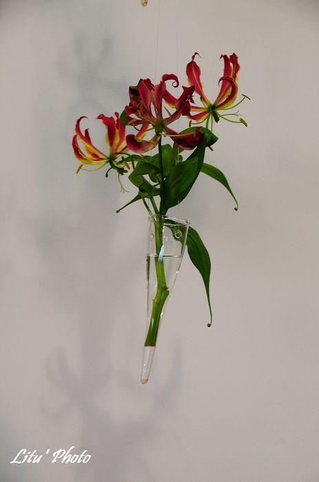 DSC_4968.jpg