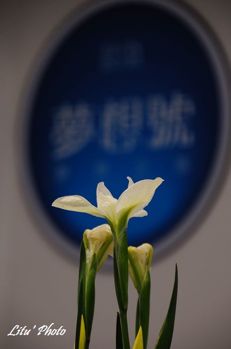 DSC_5037.jpg