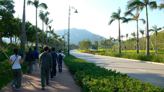 P1010804_resize.JPG
