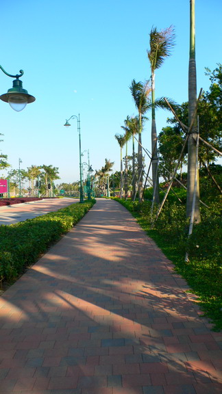 P1010805_resize.JPG