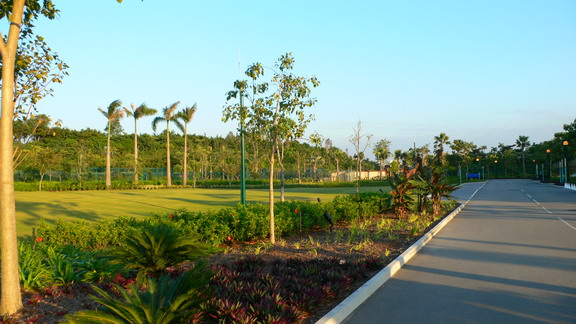 P1010811_resize.JPG