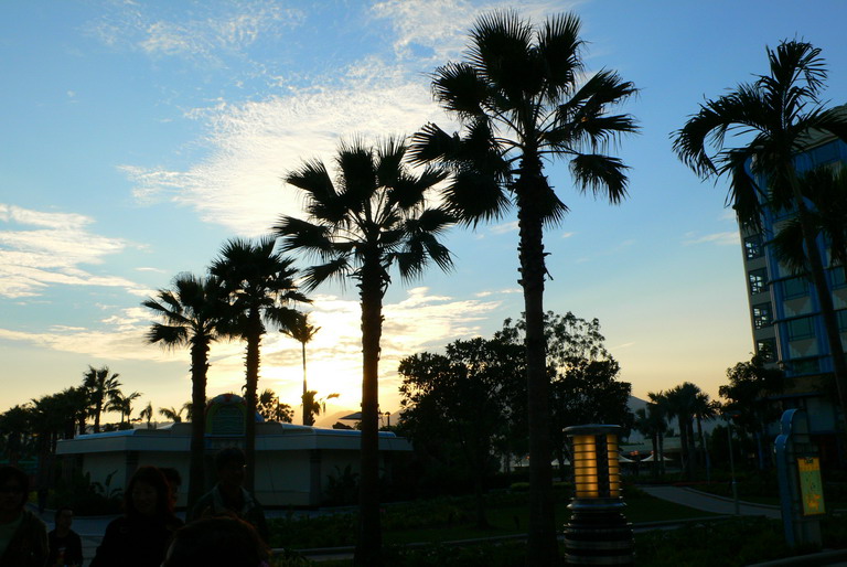 P1010815_resize.JPG
