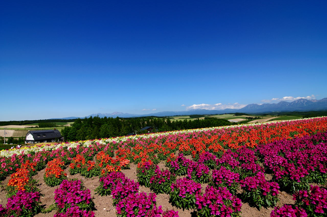 SKY_3956.JPG