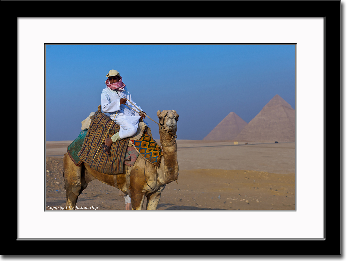 Camel Ride Vendor