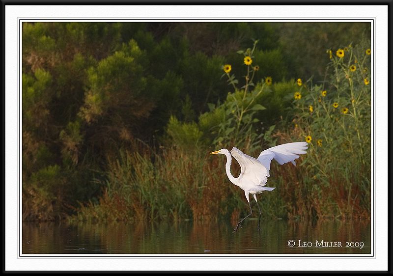 PC-_J3W0308CC framed.jpg