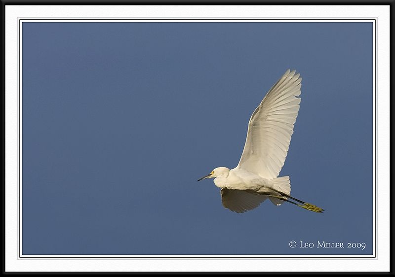 PC-_J3W0393CC framed.jpg