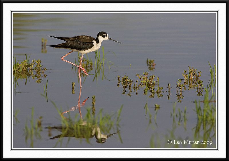 PC-_J3W0400CC framed.jpg