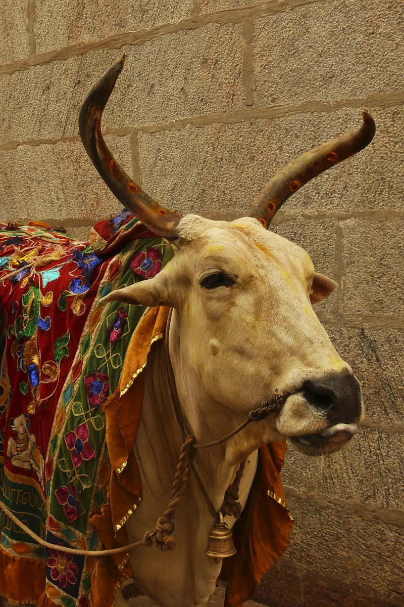 Temple Nandi.jpg