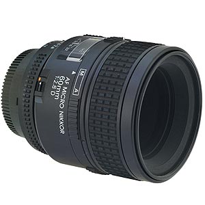 Nikkor 60mm f/2.8D AF Micro Lens Sample Photos and Specifications