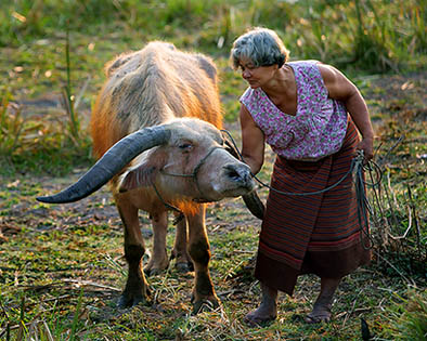 Thailife0153-14652.jpg