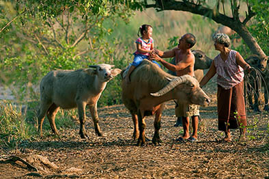 Thailife0235-14734.jpg
