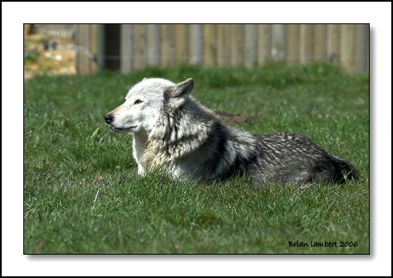 IMG_9308-01