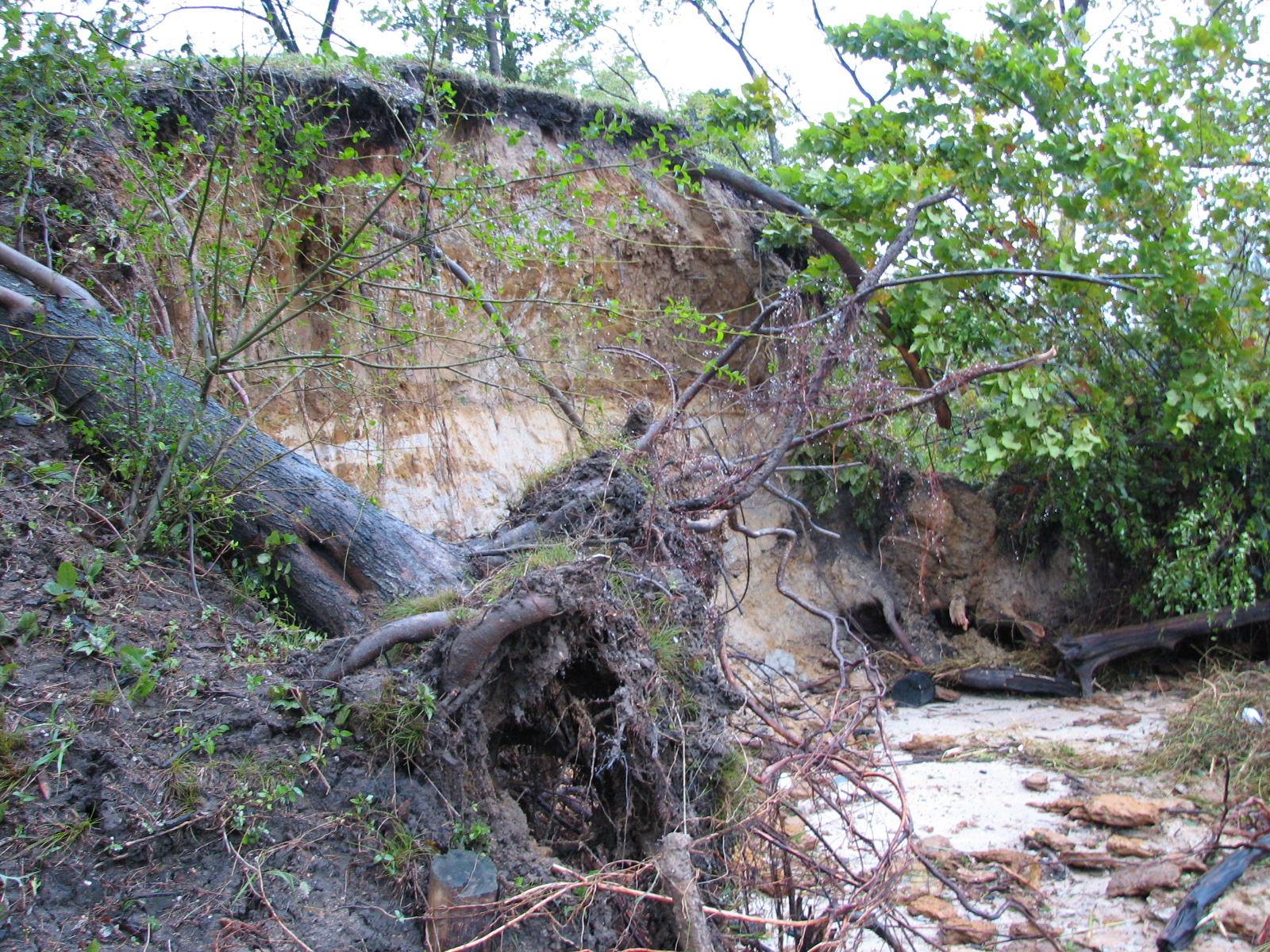Now a cliff