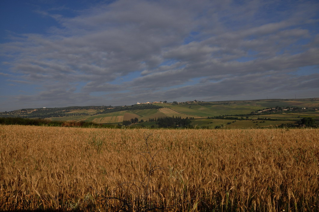 11 Ifrane 147.JPG