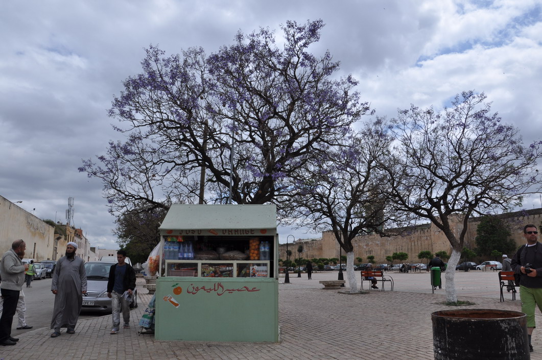 13 Meknes 007.JPG