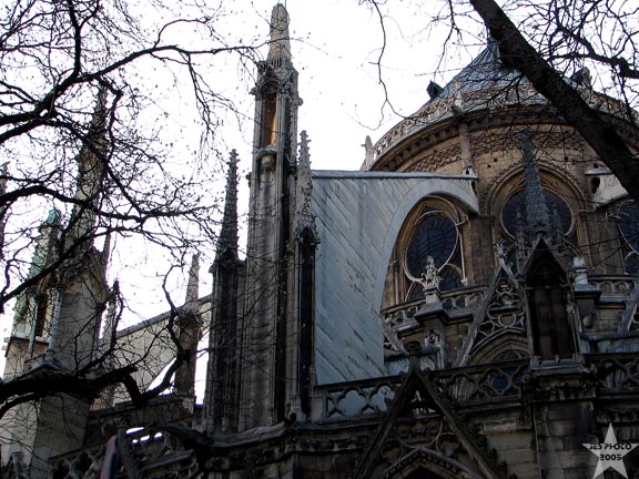 Back of Notre Dame I