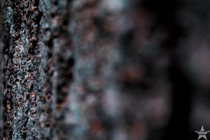 Bark 1
