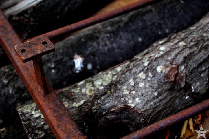 Rusted Ladder 1