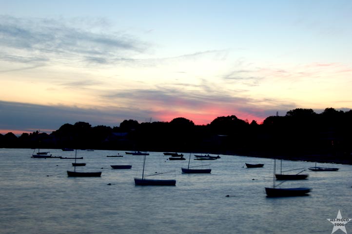 The Cove