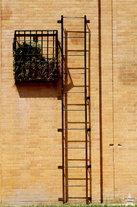 Ladder