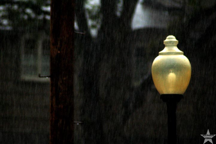 Summer Rain 2