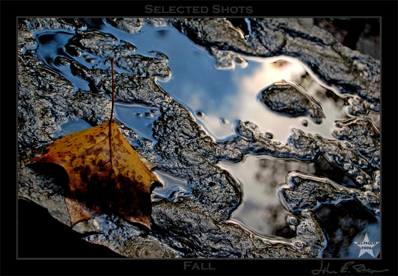 Fall