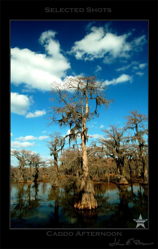 Caddo Afternoon