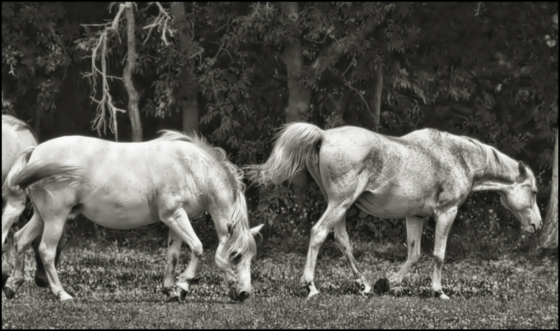 Breeze and Thunder