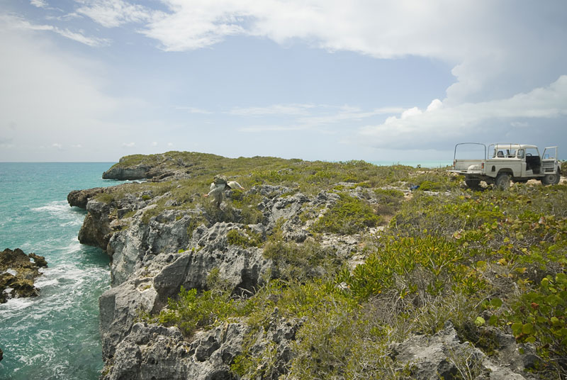_DSC8628.jpg