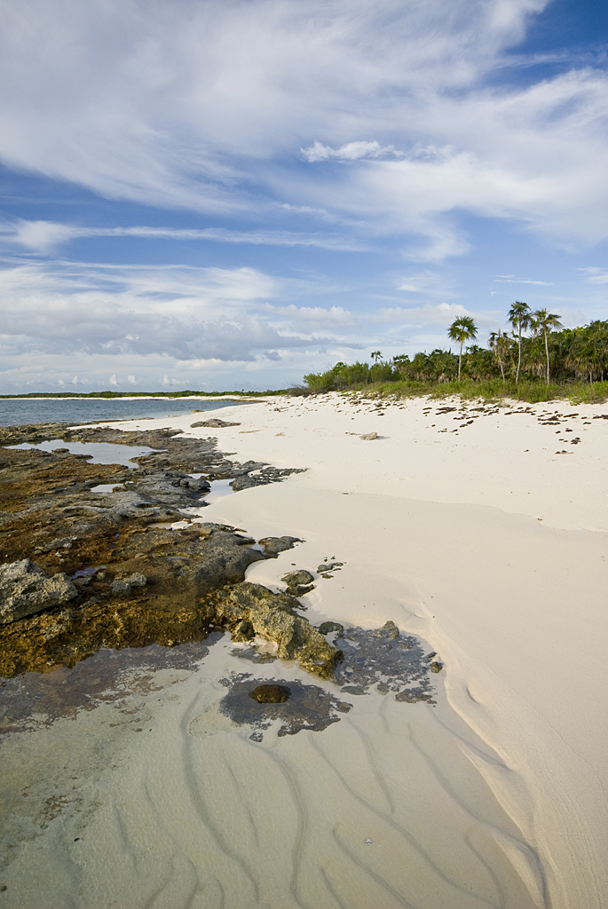 Simon Rigby Hole Beach