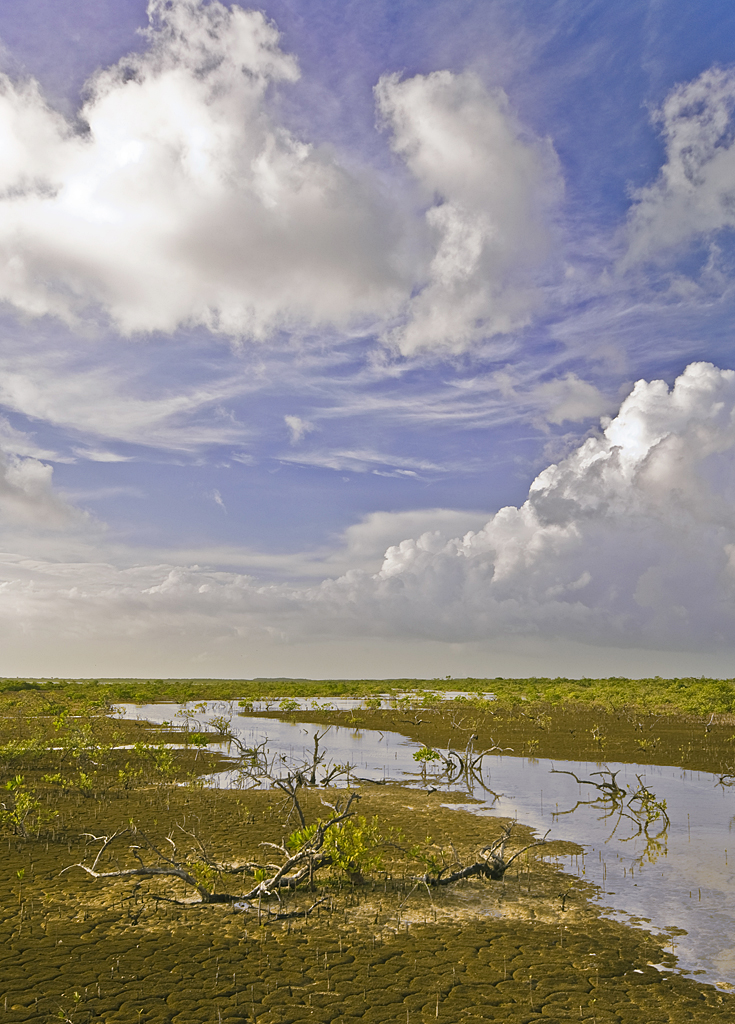 Frenchmans Creek Waterway