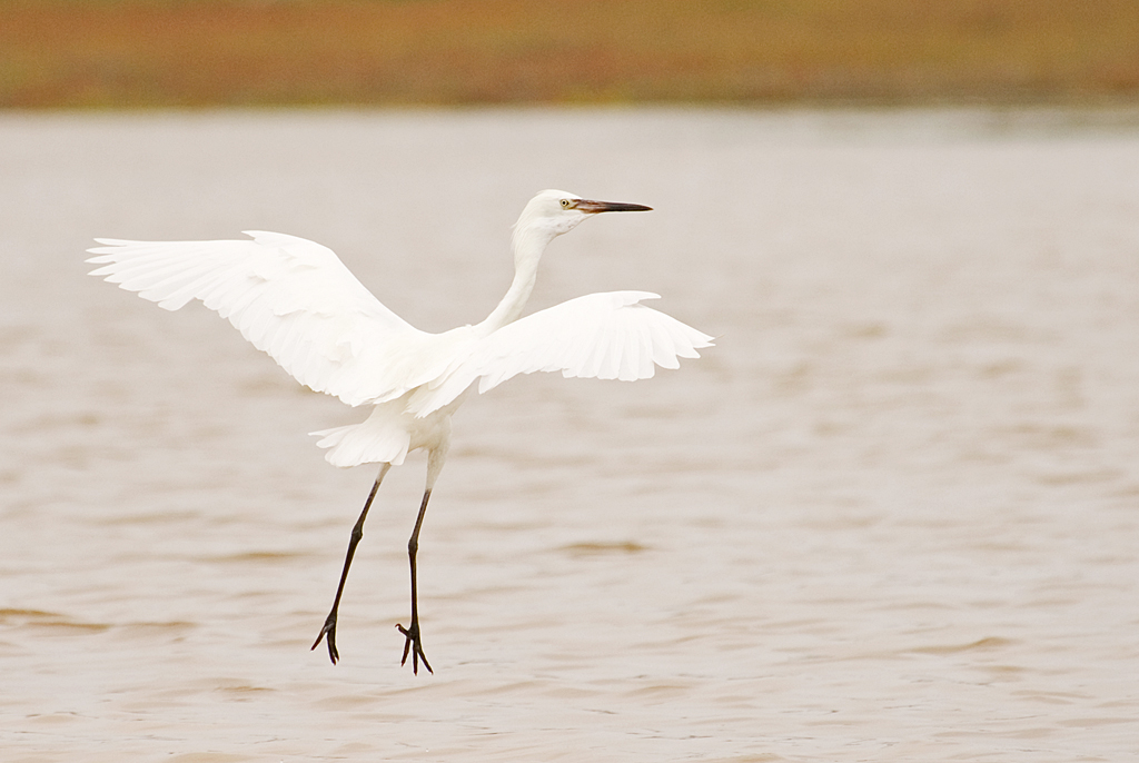DSC_0166-copy.jpg