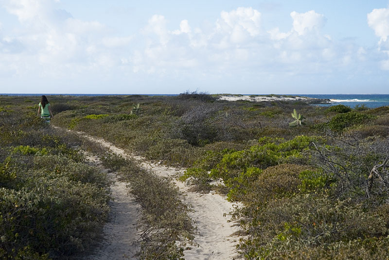 DSC_8656.jpg