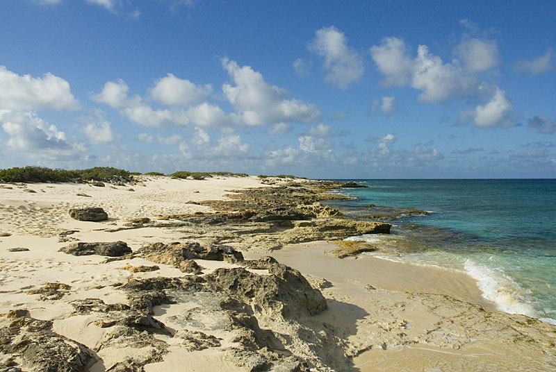 DSC_8661.jpg