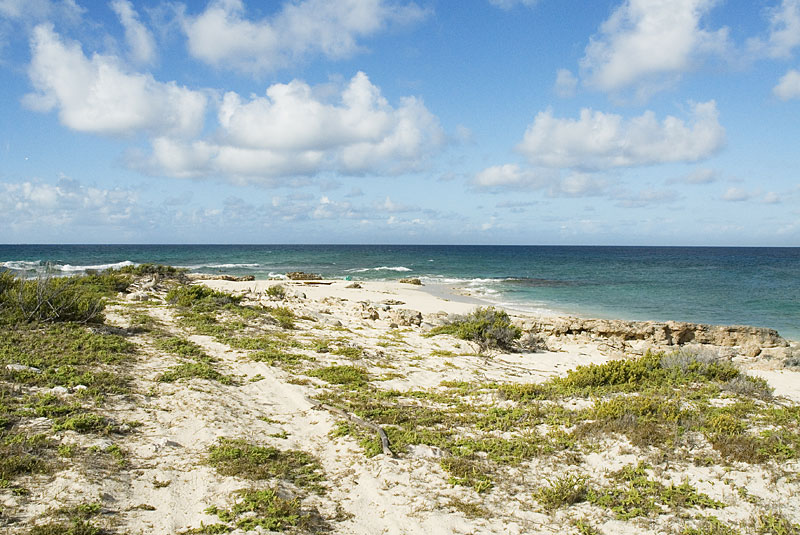 DSC_8664.jpg