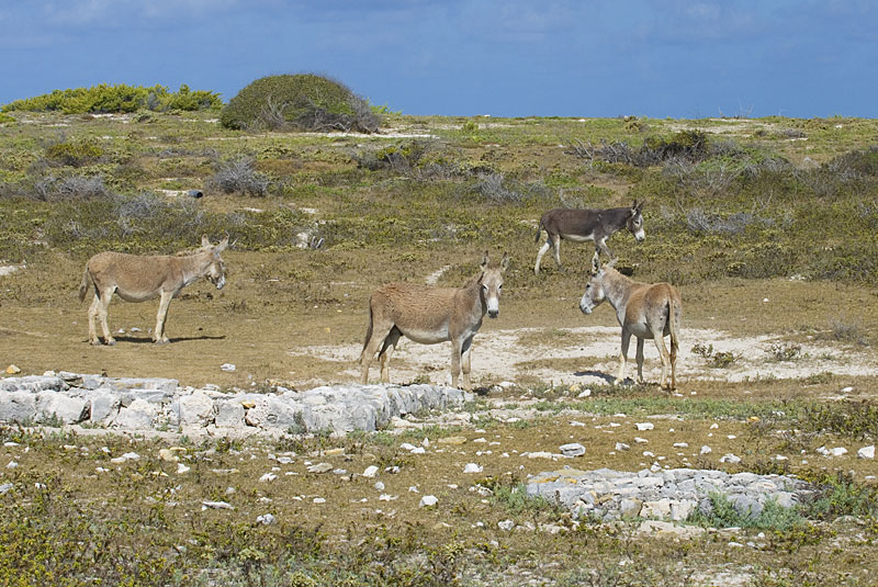 DSC_8691.jpg