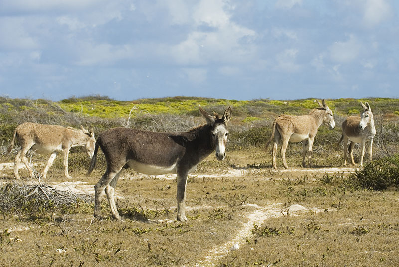 DSC_8694.jpg