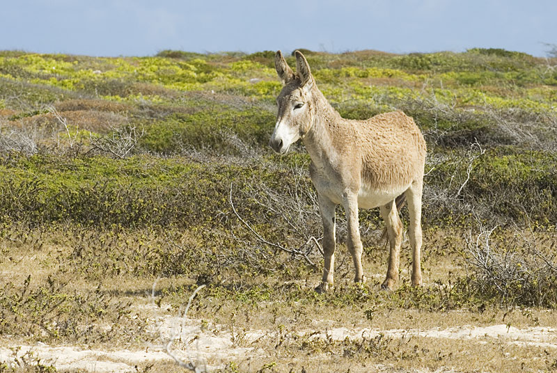 DSC_8698.jpg