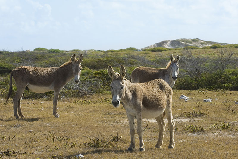 DSC_8705.jpg