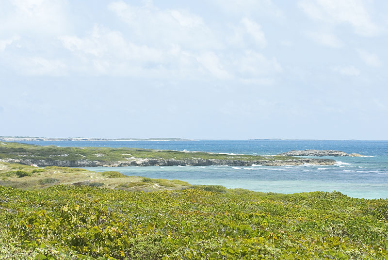 DSC_8856.jpg