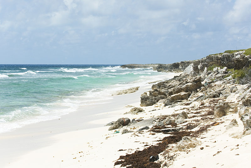 DSC_8858.jpg
