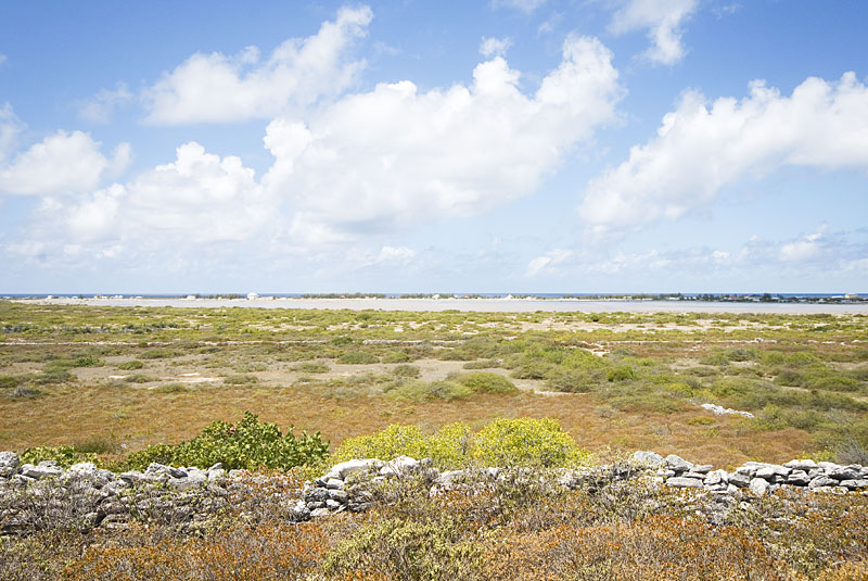 DSC_8875.jpg