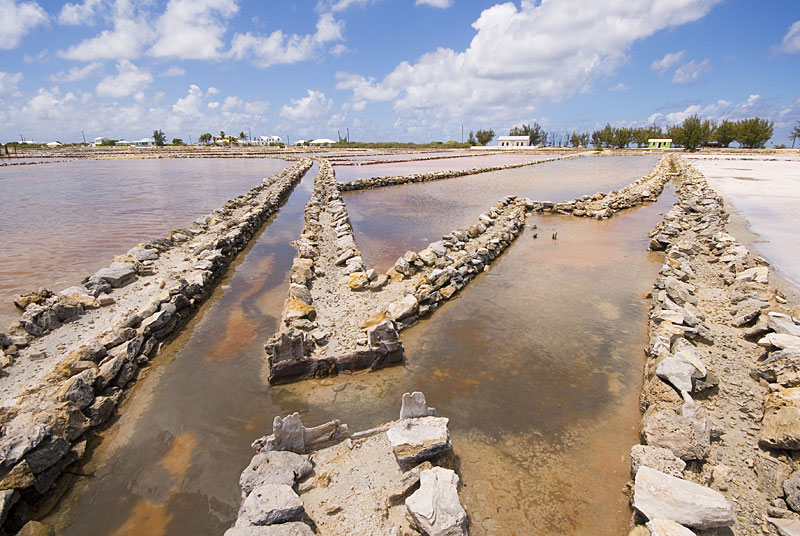 DSC_8930.jpg