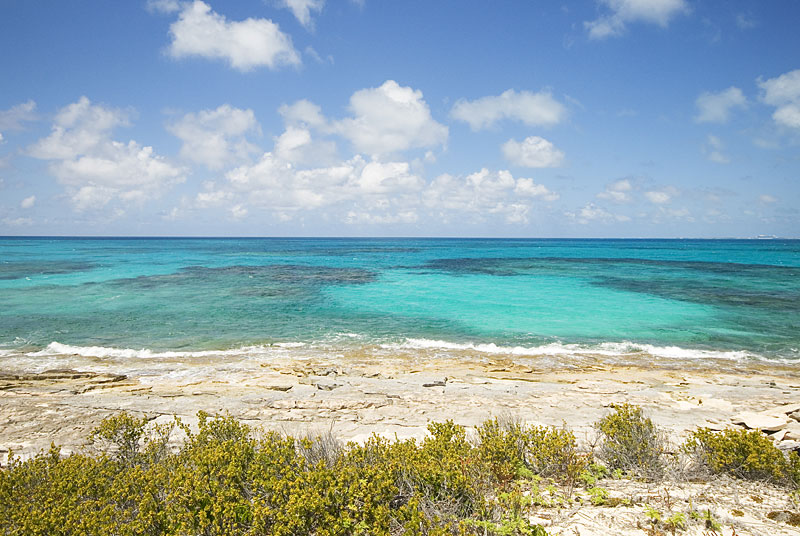 DSC_9117.jpg