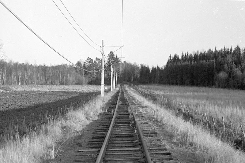 crop0036.jpg