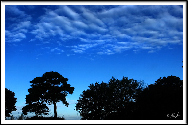 blue sunrise